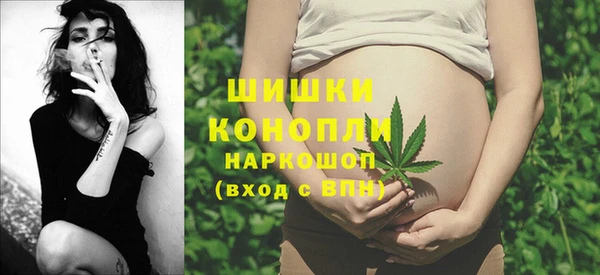 стафф Надым