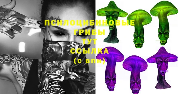гидропоника Наволоки