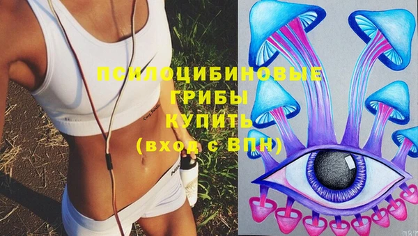 стафф Надым