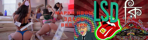 стафф Надым