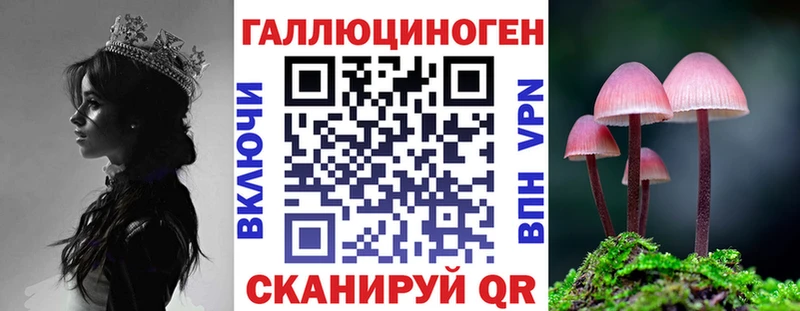 Купить  Туринск  Псилоцибиновые грибы MAGIC MUSHROOMS 